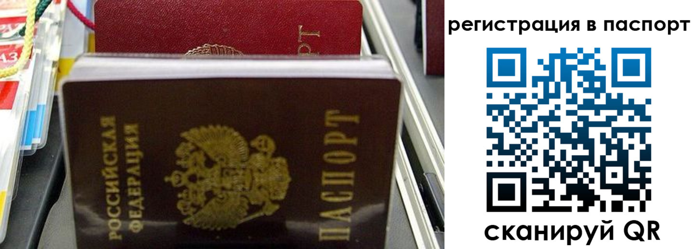 прописка для школы в Заречном
